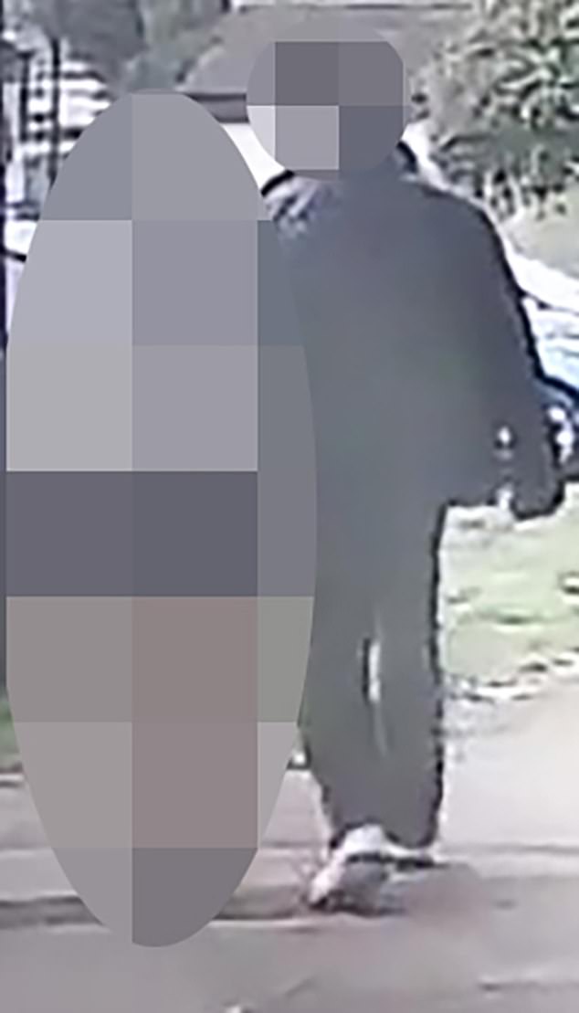 CCTV footage from a resident's house near the scene of the attack which appears to show a man walking with the girl, who is white