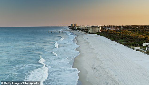 The team studied 20 dolphins stranded on the shores of Florida's Indian River Lagoon (pictured), finding they all had signs of Alzheimer's
