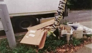 The recycling left on a grass verge near Fiona Muir's London home, which resulted in a hefty fine