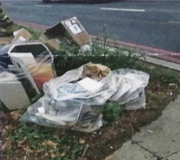 The recycling left our for collection on Ms Muir's road in Ealing, West London