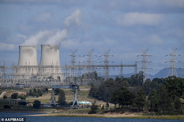 Coal makes up 80 per cent of AGL's energy generation (pictured, a coal-fired power station in Muswellbrook in NSW's Hunter Valley region)
