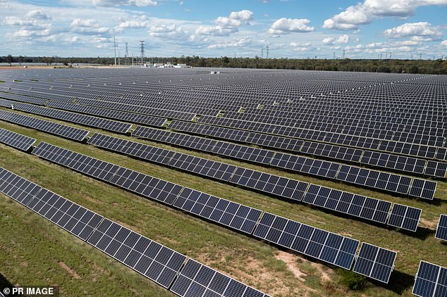 The Climate Council argues renewables like solar are far cheaper than coal and gas (pictured, the Western Downs Green Power Hub solar farm in Queensland)