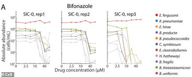 In a key example, two Bacteroides species were resistant to a an antifungal drug in a test tube when given a vital iron molecule (heme). But in the gut community, they relied on other bacteria for this. The drug disrupted the supply, starving them of heme. The graph lines represent the abundance of different bacterial species as the drug concentration increased