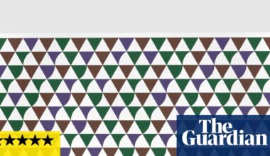 Bridget Riley: Learning to See review – optical mastery leaves you gasping for air | Bridget Riley