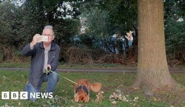 A man in a blue coat and blue jeans with a small brown dog next to a tree taking a photograph