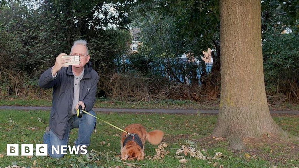 A man in a blue coat and blue jeans with a small brown dog next to a tree taking a photograph