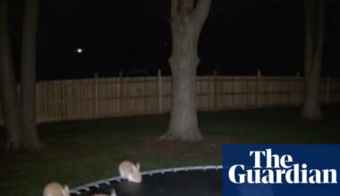 Macquarie Dictionary announces ‘AI slop’ as its word of the year, beating out Ozempic face | Artificial intelligence (AI)