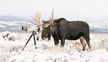 A Biologist Shares His 4 Favorite ‘Nature’s Best Photography Contest’ Shots