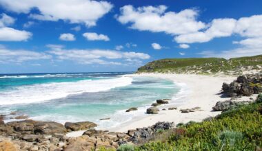 Windsurfer makes miracle escape from shark that tore through his board at popular beach