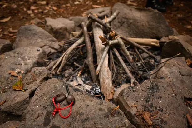 The celebs are in for a tough ride