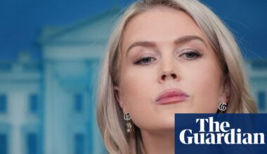 Nothing to see here: Trump press chief in full denial mode over Epstein | Donald Trump