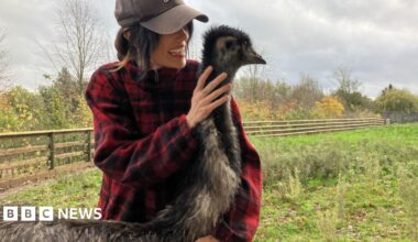 Rhi Evans cuddles an emu in a field. Ms Evans is wearing a black baseball cap and a red plaid shirt.