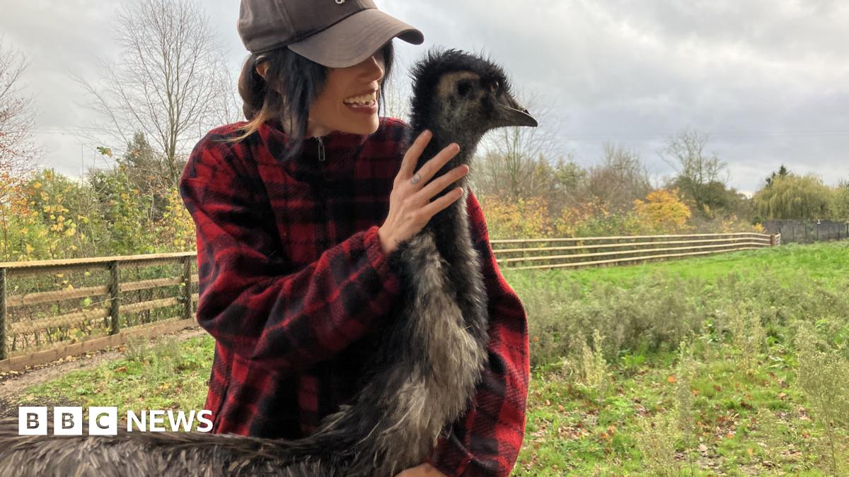 Rhi Evans cuddles an emu in a field. Ms Evans is wearing a black baseball cap and a red plaid shirt.