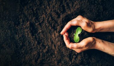 An Economy of Enough: Limits as pathways to renewal