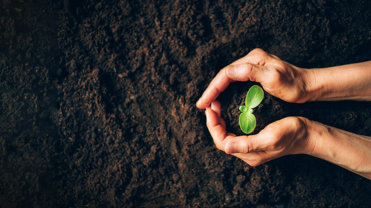 An Economy of Enough: Limits as pathways to renewal