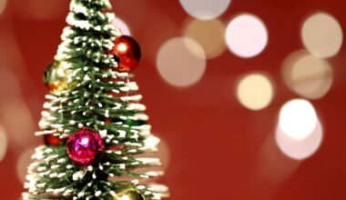 Salisbury Radio Christmas launches with festive music