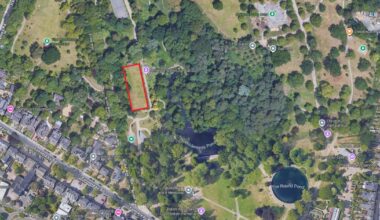 Friends of Christchurch Park Ipswich no longer object to golf
