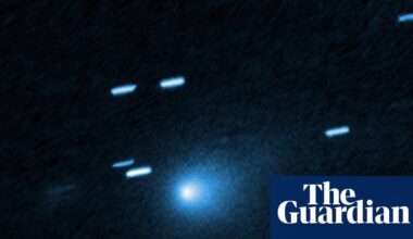 Kim Kardashian and the comet, a lupus breakthrough, James Watson’s legacy – podcast | Science
