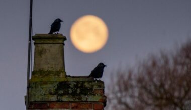 Beaver Moon: How and when to see the supermoon from Norfolk