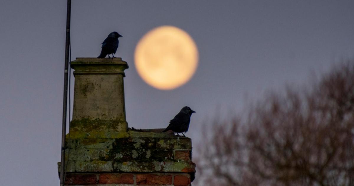 Beaver Moon: How and when to see the supermoon from Norfolk