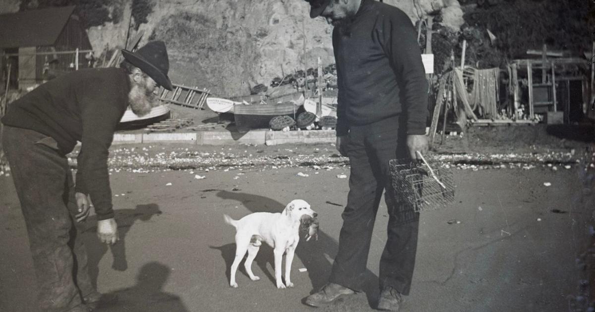 Online exhibition to celebrate Island photographer James Dore