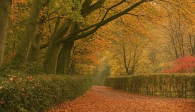Beautiful Sarratt autumn photo among camera club images