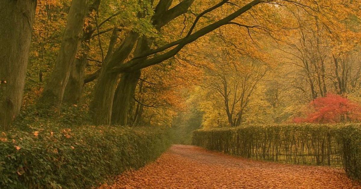 Beautiful Sarratt autumn photo among camera club images