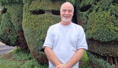 Are these trees Norwich's own Easter Island sculptures?