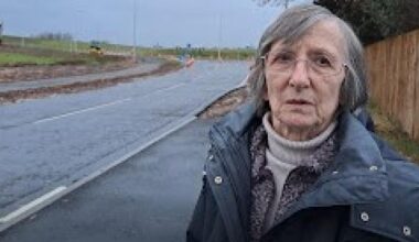 Bull sculpture will be next to home of cow stampede victim's widow