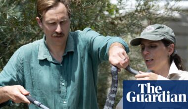 Snakes, sheilas and a backblocks shed: learning how to wrangle Australia’s most venomous reptiles | Queensland