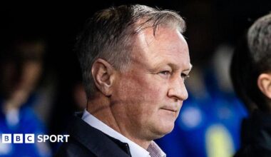 Northern Ireland manager Michael O'Neill