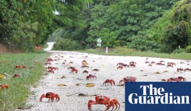 Google to build new AI datacentre on tiny Australian Indian Ocean outpost after signing defence deal | Australian military