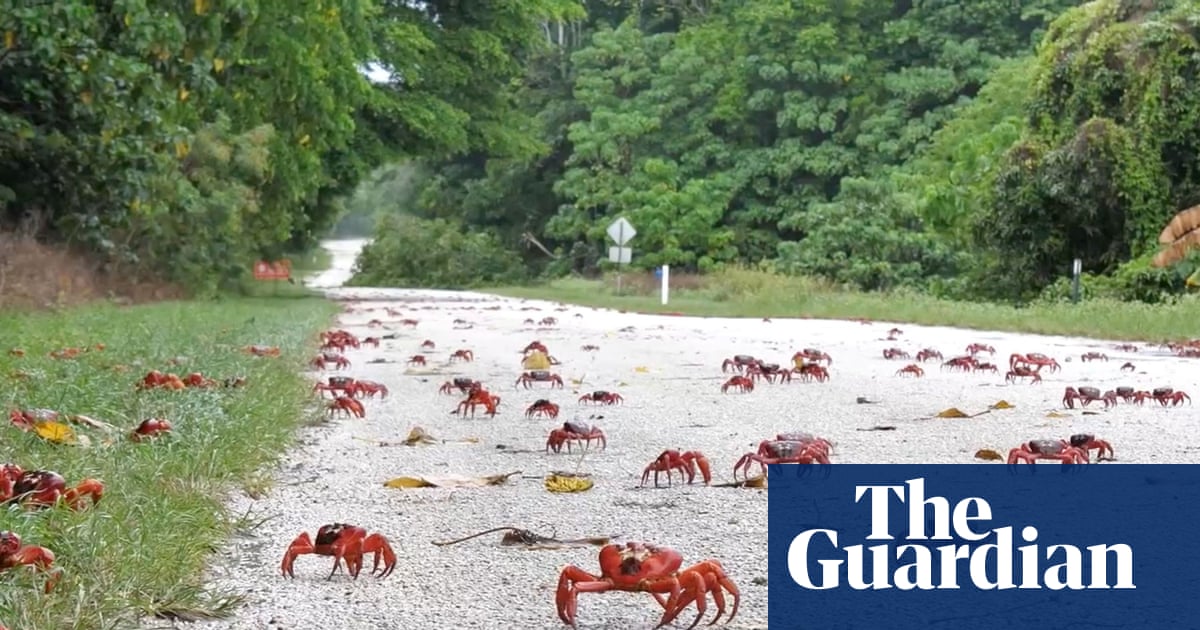 Google to build new AI datacentre on tiny Australian Indian Ocean outpost after signing defence deal | Australian military