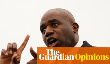 Why doesn’t Lammy just bring in a new policy of accidentally jailing people? | John Crace