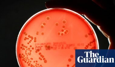 Deaths linked to antibiotic-resistant superbugs rose 17% in England in 2024 | Drug resistance