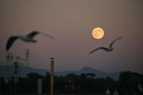 Alberto Pizzoli / AFP via Getty Images Birds are silhouetted as they fly over the city of Rome, with the tops of buildings just visible at the bottom of frame as the moon rises against the twilight sky in Rome on Wednesday.