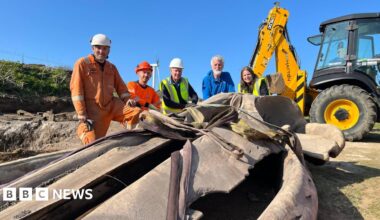 Five people kneel - three wearing hi-vis jackets and hard hats - beside the skull of a whale head. There is a yellow digger on the background.