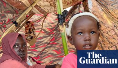 UK rejected atrocity prevention plans for Sudan despite warning of possible genocide | Global development