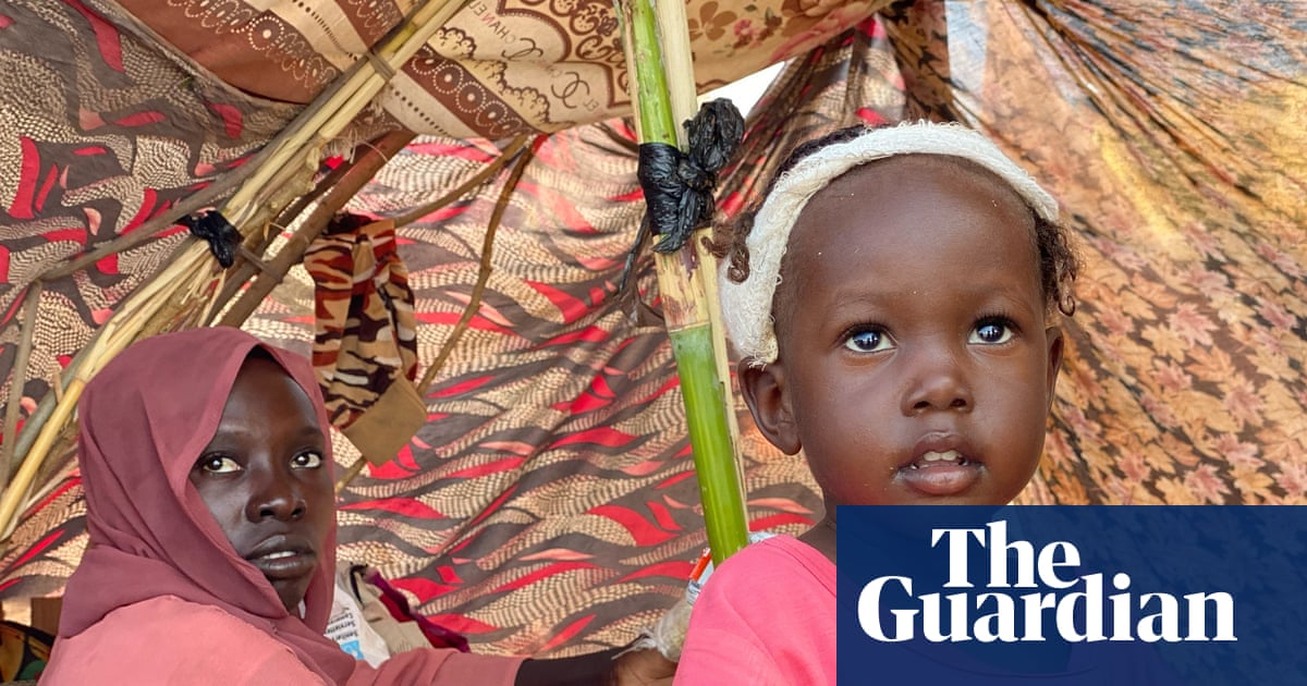 UK rejected atrocity prevention plans for Sudan despite warning of possible genocide | Global development