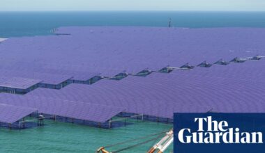 China’s CO2 emissions have been flat or falling for past 18 months, analysis finds | China