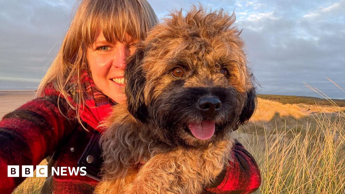A woman in a red jacket cuddles a small, dog. The dog is looking into the distance and has its tongue out and looks happy. There is a beach in the background and it is a sunny day.