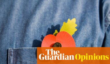 Arguing about whether or not to wear a poppy misses the most crucial point | Zoe Williams