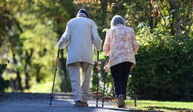 Could the German government collapse over pensions dispute? – DW – 11/18/2025