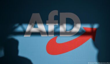 AfD trip to Russia sparks 'treason' accusation – DW – 11/07/2025