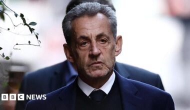 A headshot of Sarkozy