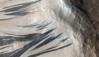 An aerial photo of large black streaks flowing across the slopes of a slope on Mars