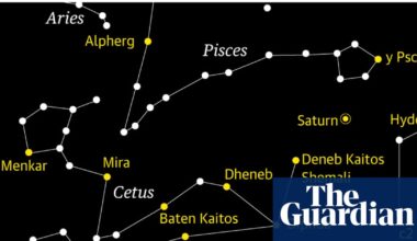 Starwatch: track Cetus, the sea monster, sprawling across the night sky | Astronomy