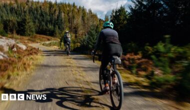 Two cyclists travel down a forest path, below a blue sky.