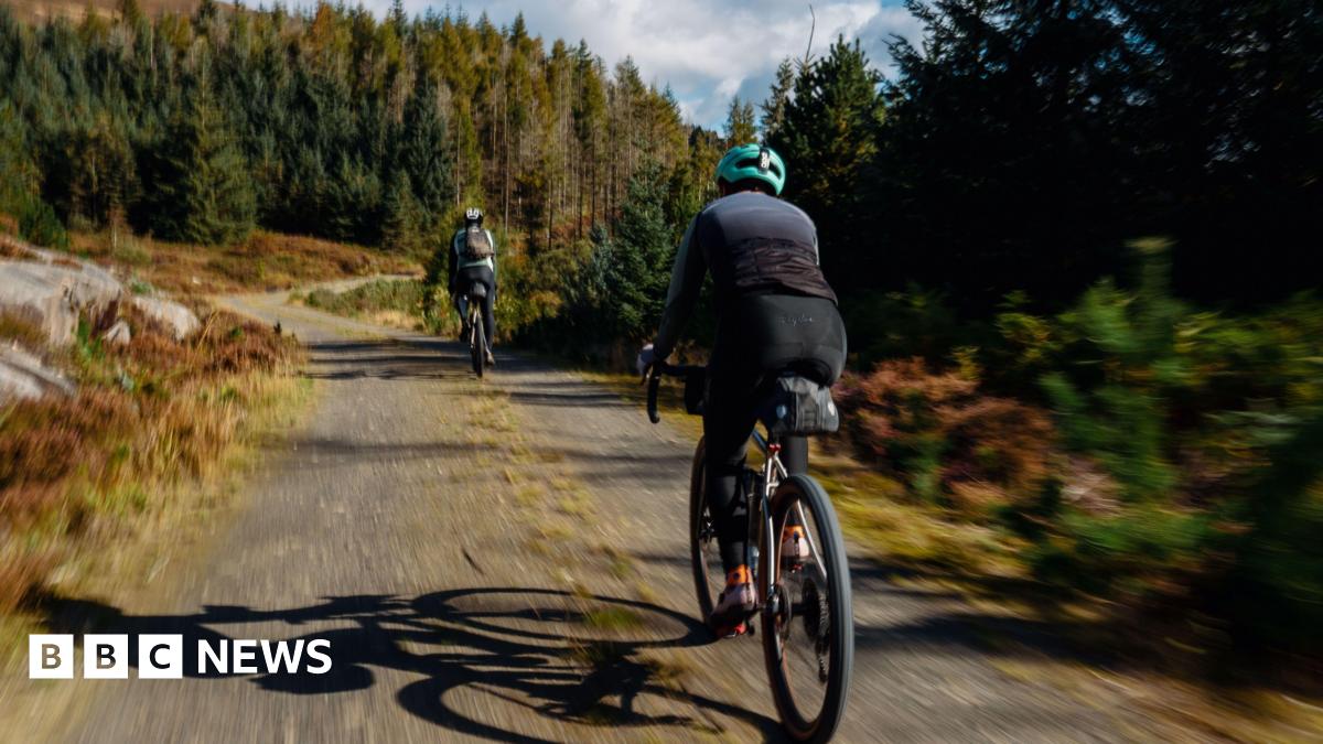Two cyclists travel down a forest path, below a blue sky.
