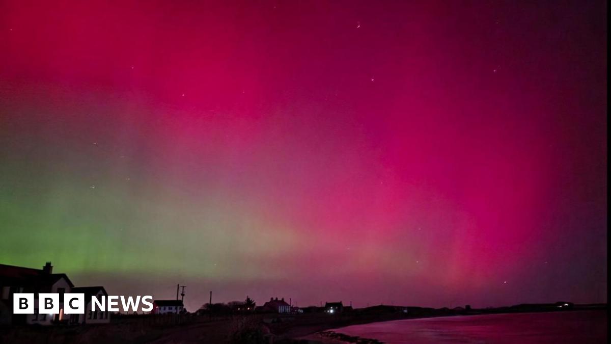 The Northern Lights lighting up the sky in pink and green colours. A number of homes are visible along a coast.
